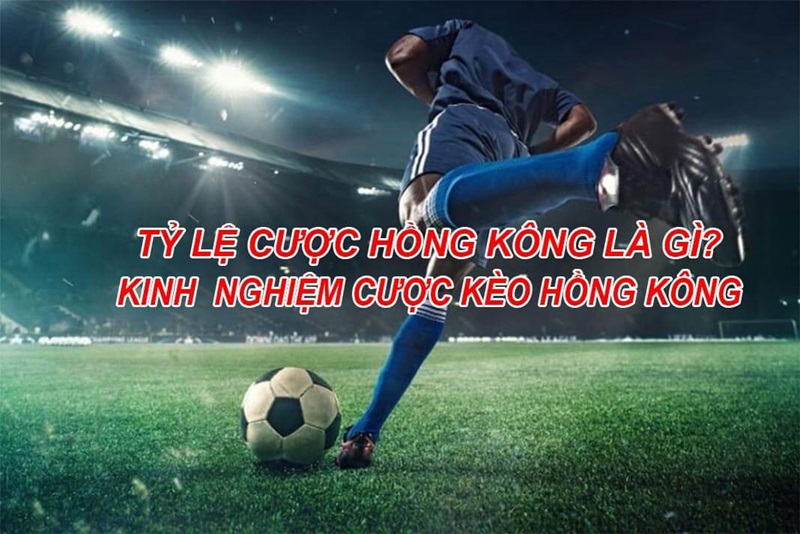 Tỷ lệ cược Hồng Kông là gì và cách chơi cược Hồng Kông 7